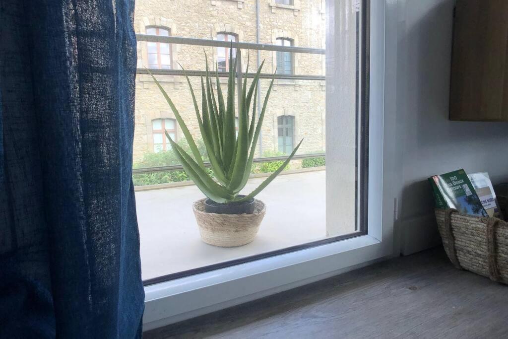 Appartement, Confort, Parking, Terrasse Динан Екстериор снимка